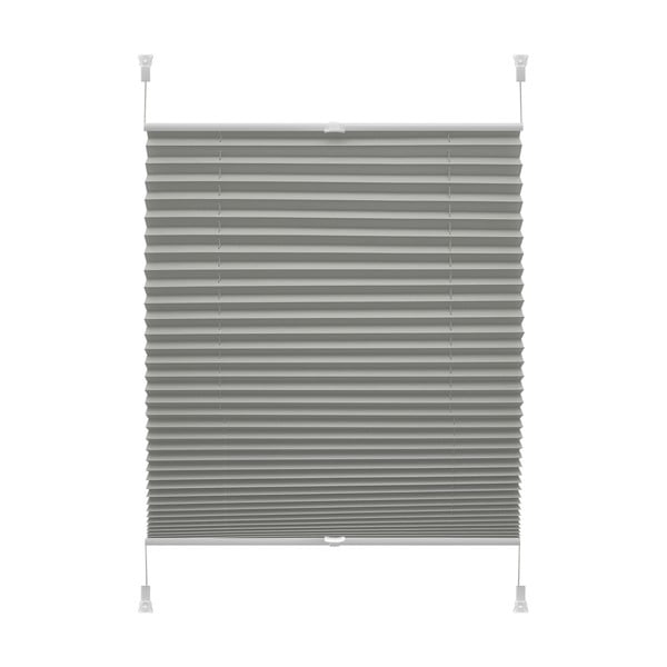 Antracitno sive rolete  42,5x150 cm Plisé Verona Termo – Gardinia