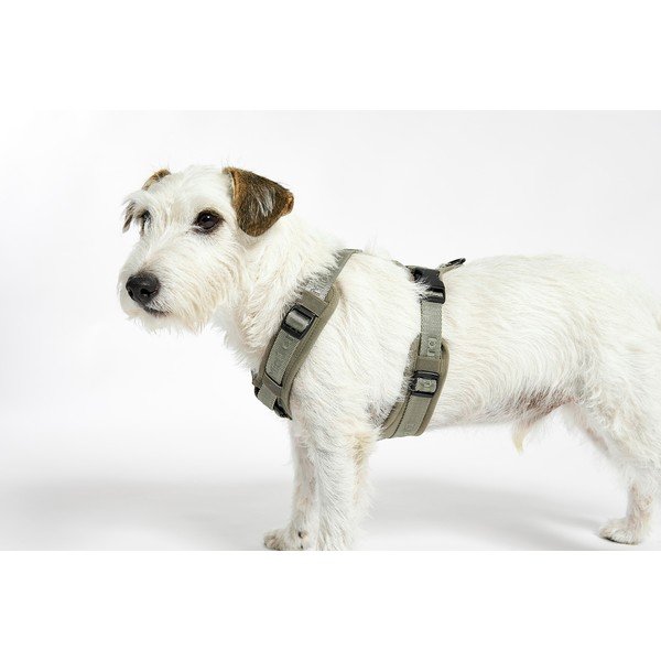 Zeleni uprtač L dužina 42 cm Modena Grolive L – MiaCara-image-3