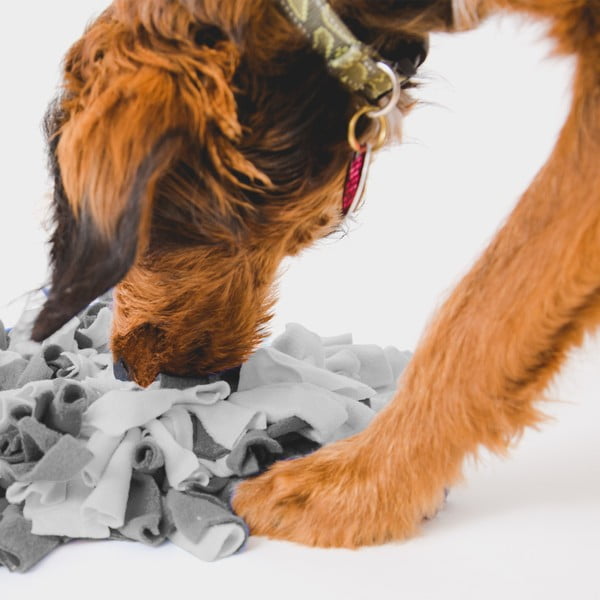 Podloga za njuškanje – Love Story-image-1