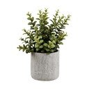 Umjetna biljka (visina 33,5 cm) Succulent – House Nordic