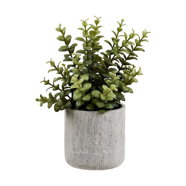 Umjetna biljka (visina 33,5 cm) Succulent – House Nordic