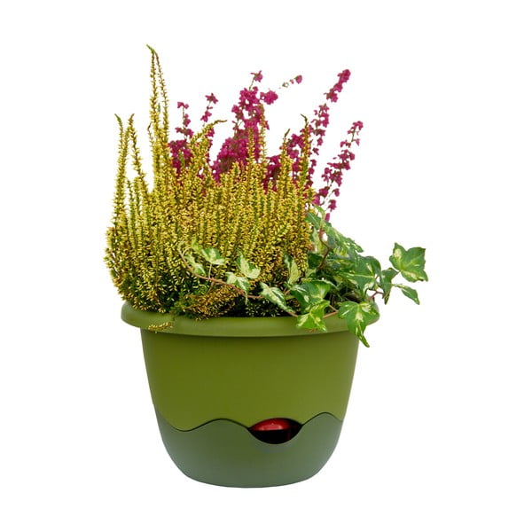 Zelena samozalijevajuća tegla pogodna za vješanje Plastia Mareta, dužina 25 cm-image-2