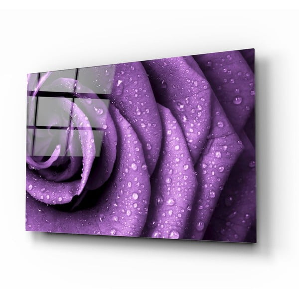 Staklena slika Insigne Purple Rose