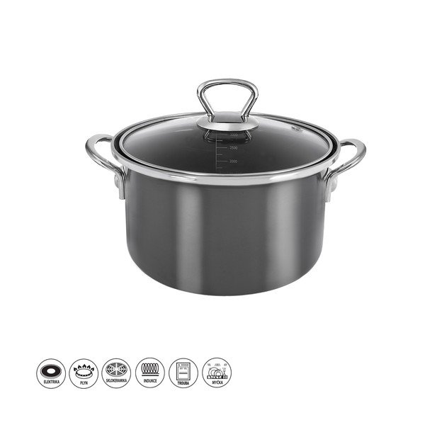 Emajliran lonac s poklopcem 3,25 l Metalic – Orion-image-4