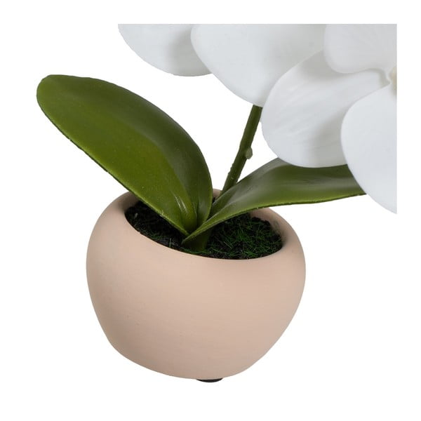 Umjetne biljke u setu 3 kom (visina 15 cm) Orchid – Casa Selección-image-4