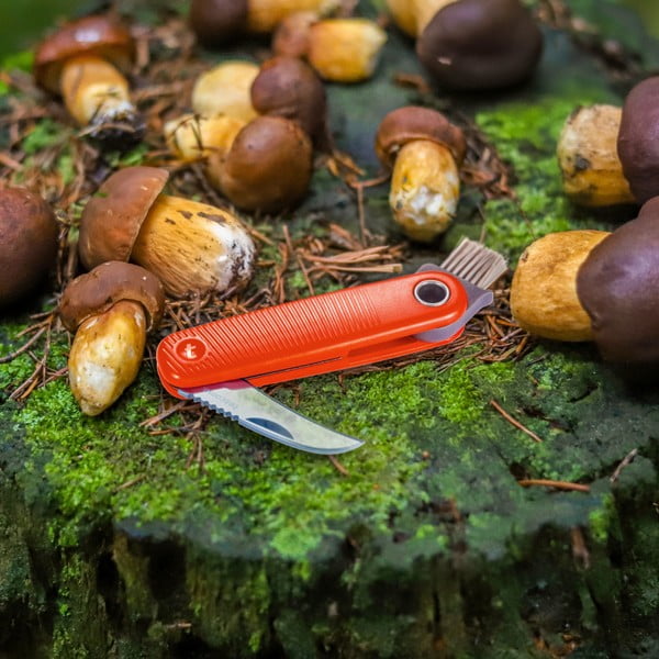 Džepni nožić Move – Tescoma-image-1