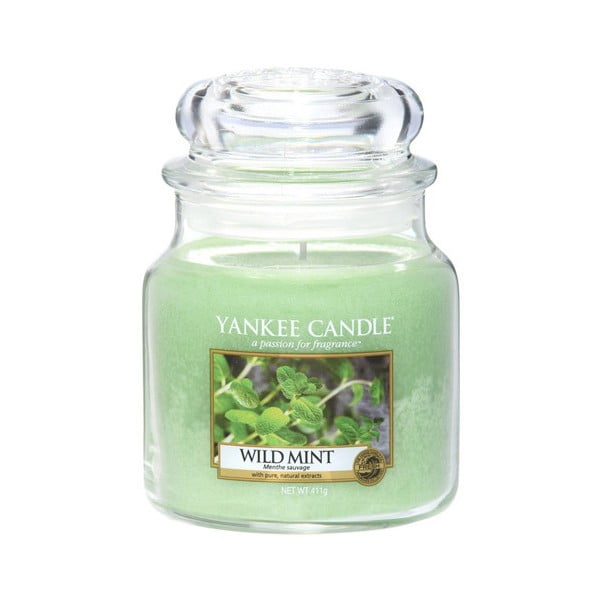 Mirisna svijeća Yankee Candle Divlja Menta, vrijeme gorenja 65-90 sati