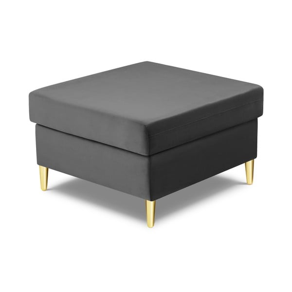 Svijetlo sivi baršunast tabure Kyoto – Cosmopolitan Design-image-2