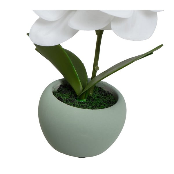 Umjetne biljke u setu 3 kom (visina 15 cm) Orchid – Casa Selección-image-3