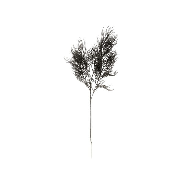Umjetna biljka (visina 86 cm) Asparagus Fern – PT LIVING