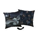 Dječji jastuk 40x40 cm Harry Potter "Hogwarts" – Jerry Fabrics