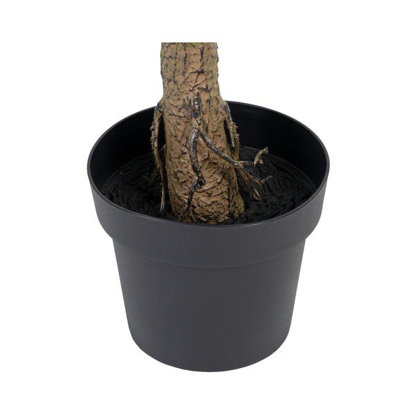 Umjetni eukaliptus (visina 173 cm) Eucalyptus – Ixia-image-4