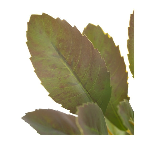 Umjetna grančica (visina 37 cm) Lemon Tree – Ixia-image-2