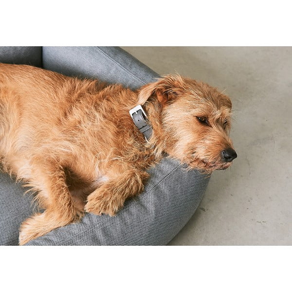 Smeđi krevet za pse 55x70 cm Mare Kelp S – MiaCara-image-3