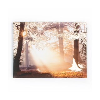 Slika Graham & Brown Metallic Forest, 80 x 60 cm