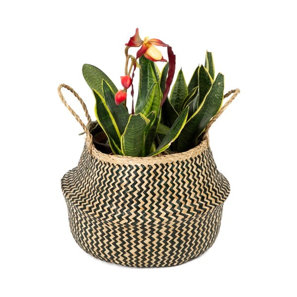 Košarica od morske trave Compactor Zic Zac, ⌀ 35 cm-image-1