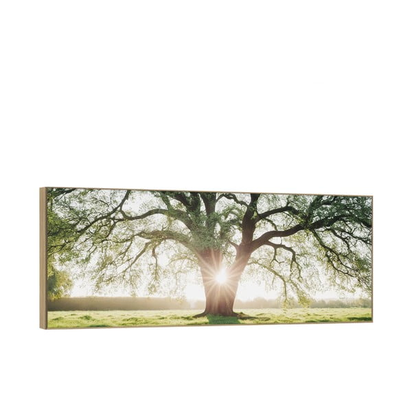 Slika 150x60 cm Tree in the Sun – knor-image-2