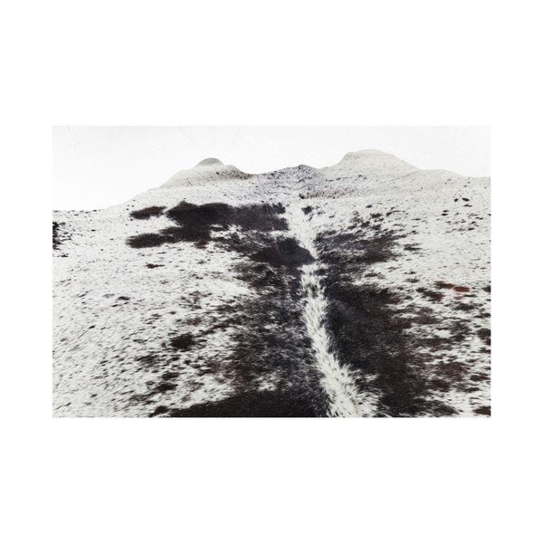 Bijelo-smeđi tepih od kravlje kože Kare Design Hide, 190 x 150 cm-image-3