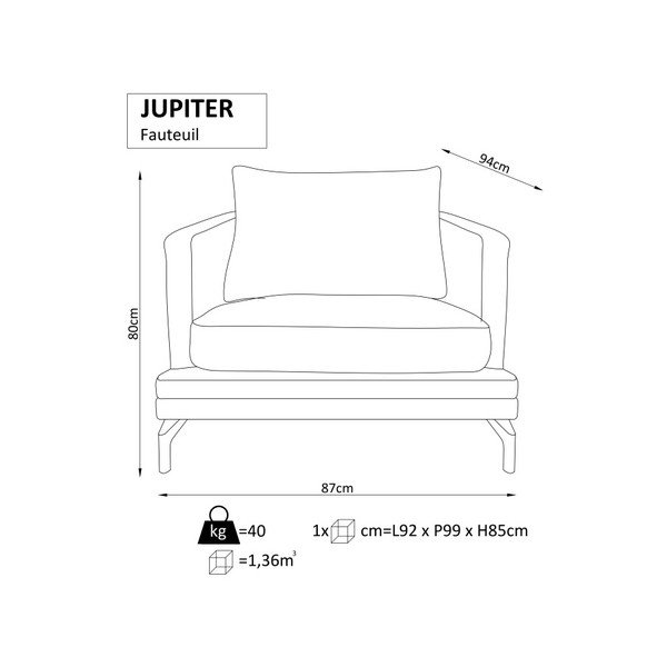 Bež fotelja Windsor &amp; Co. Sofe Jupiter-image-1