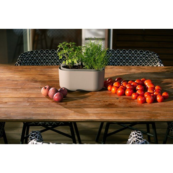 Bež samozalijevajuća tegla Plastia Tolita-image-2