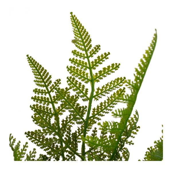 Umjetna paprat (visina 45 cm) – Casa Selección-image-2