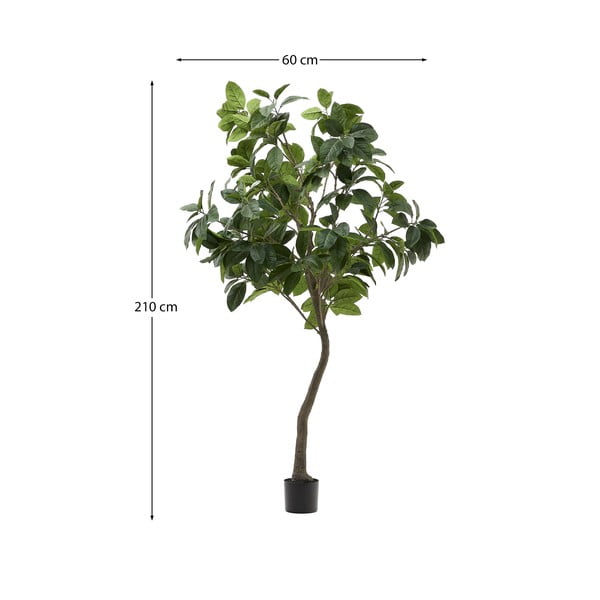Umjetni fikus (visina 210 cm) Ficus – Kave Home-image-4