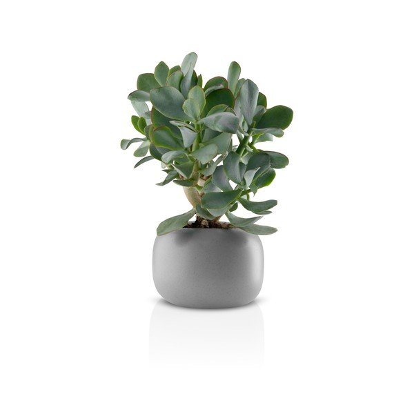 Siva keramička tegla za cvijeće Eva Solo Stone, ø 16 cm-image-2