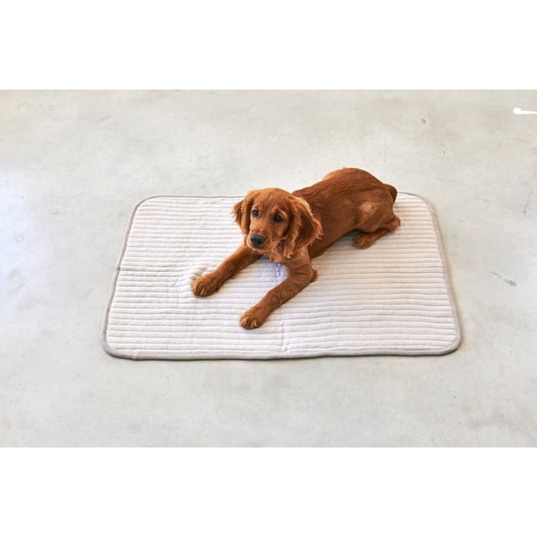 Bež pamučna deka za pse 90x120 cm Onda Greige L – MiaCara-image-1