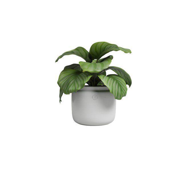 Keramička ručno rađena tegla za cvijeće ø 26 cm Astrea – Artevasi-image-4