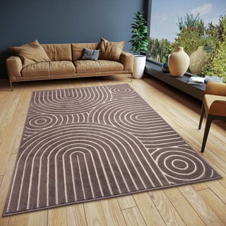 Smeđi tepih 200x285 cm Iconic Wave – Hanse Home