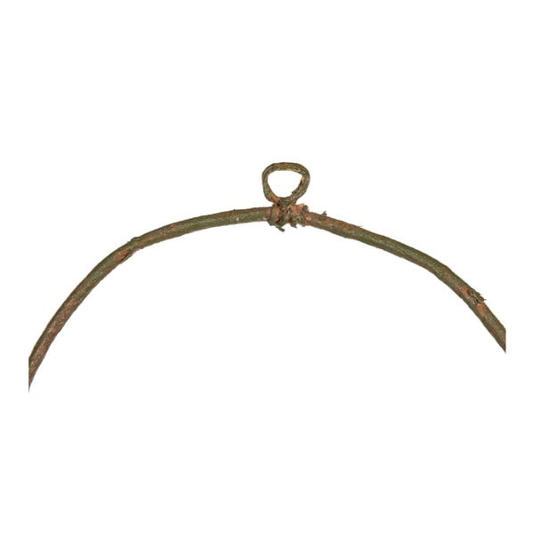 Vijenac Magnolia – Ixia-image-1