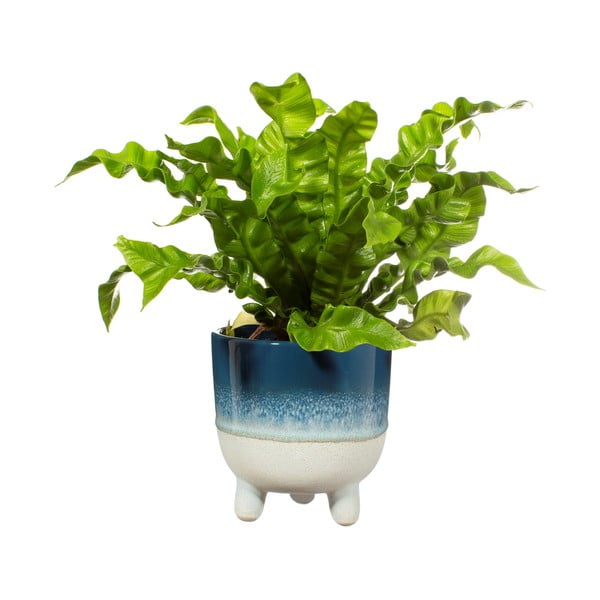 Plava tegla Sass & Belle Bohemian Home Mojave, ø 11,7 cm-image-2