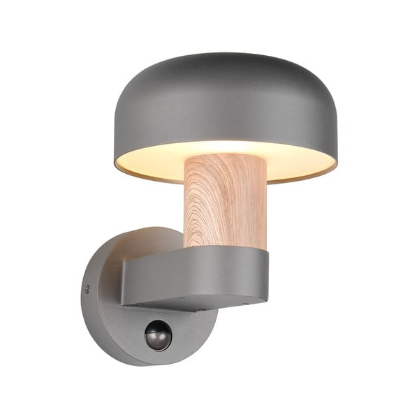 Zidna vanjska svjetiljka (visina 24,5 cm) Fraser – Trio-image-2