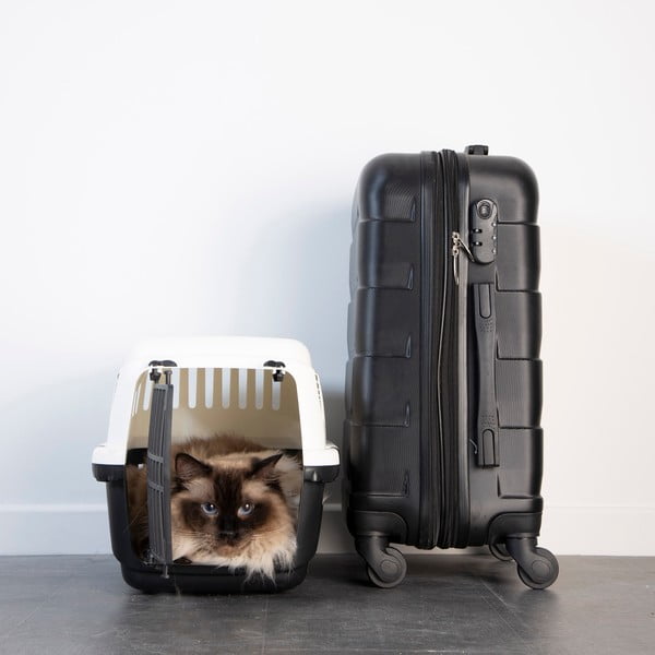 Transporter za kućne ljubimce  31x46 cm – Love Story-image-1