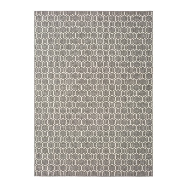 Sivi vanjski tepih Universal Clhoe, 160 x 230 cm