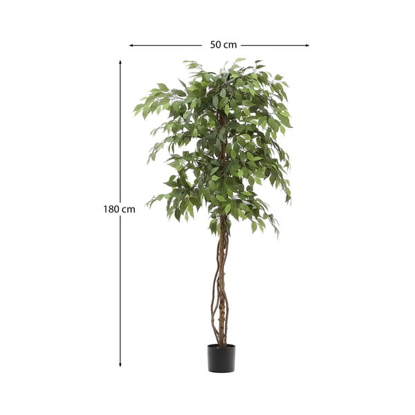 Umjetni fikus (visina 180 cm) Ficus – Kave Home-image-4