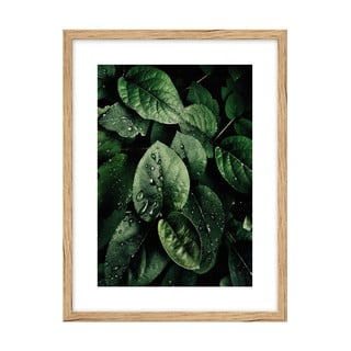 Poster 30x40 cm Leaves