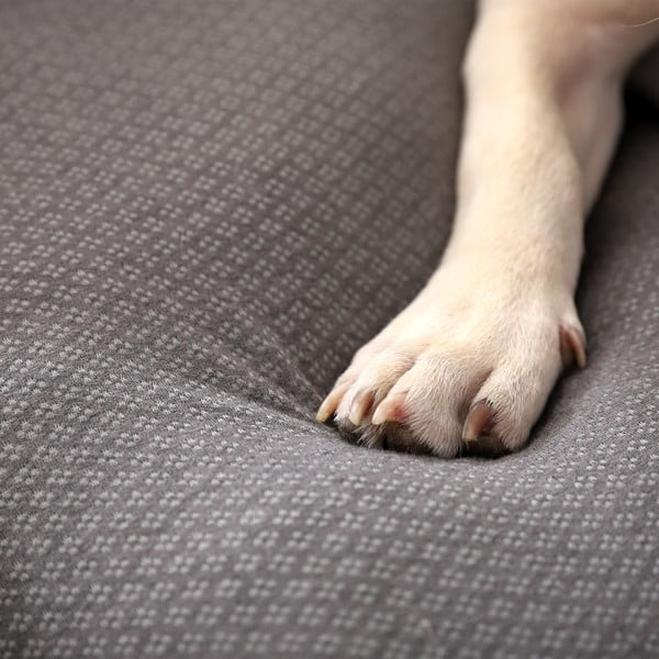 Svijetlo sivi krevet za pse 60x48 cm Graphene – Love Story-image-3