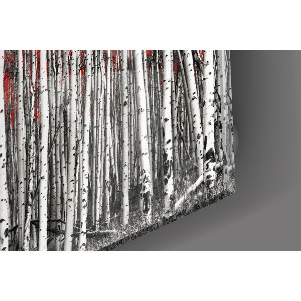 Staklena slika Insigne Birches-image-2