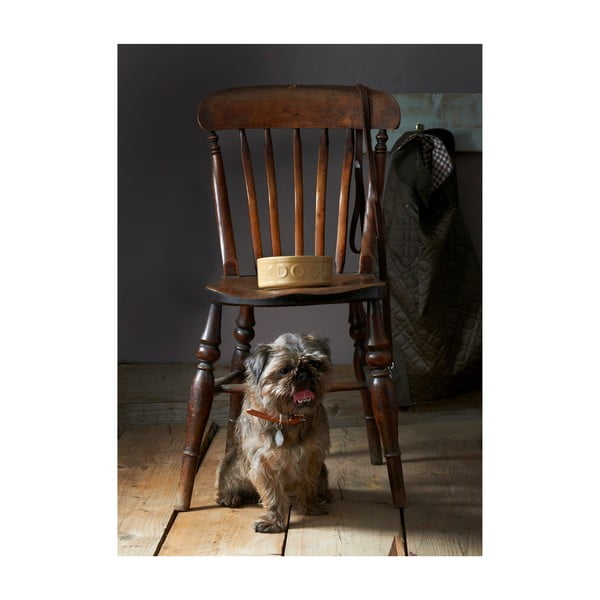 Zdjela od kamenine za pse Mason Cash Dog Cane, ø 25 cm-image-3