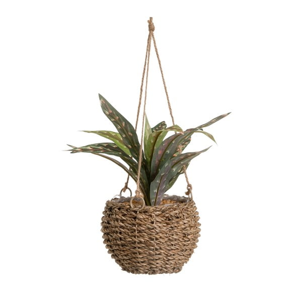 Umjetna biljka (visina 25 cm) – Casa Selección