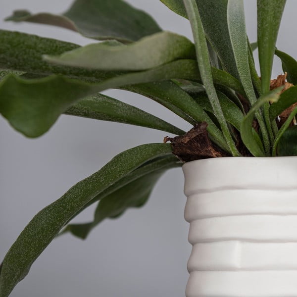 Bijela porculanska vaza Ribbon – Mette Ditmer Denmark-image-4