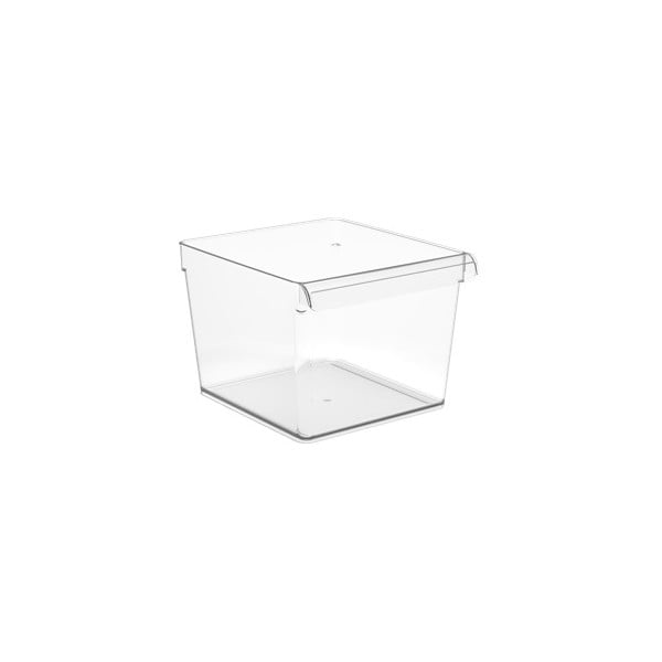 Plastičan organizator za hladnjak 22x20 cm Loft – Rotho