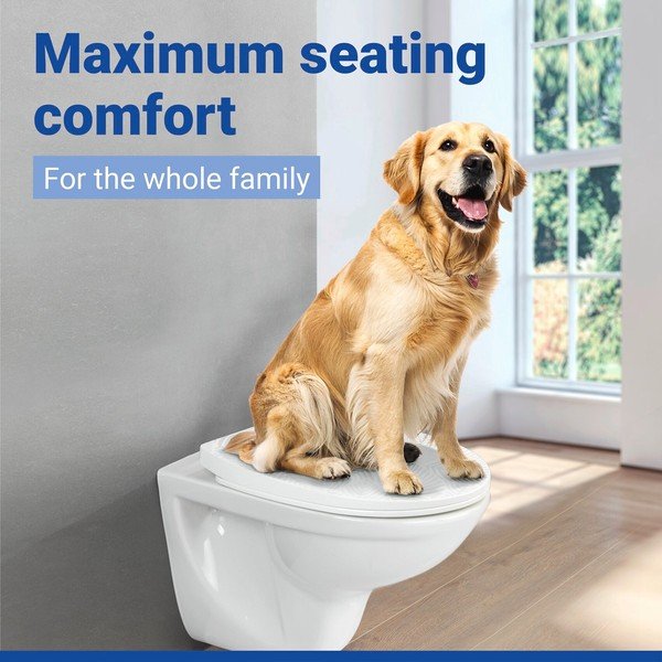 WC daska s automatskim zatvaranjem 36,5 x 45 cm Roanne – Wenko-image-1