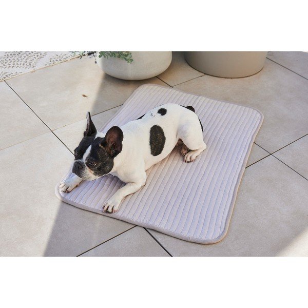 Siva pamučna deka za pse 75x100 cm Onda Pebble M – MiaCara-image-3