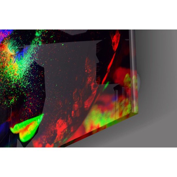 Staklena slika Insigne Neon-image-2