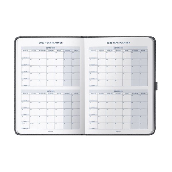 Dnevnik - Busy B-image-4