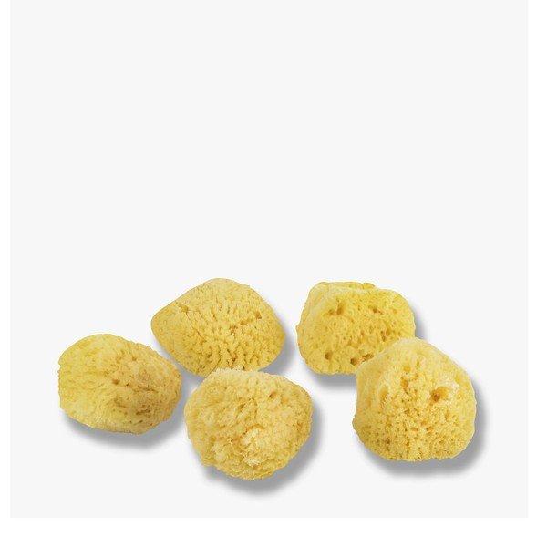 Spužvice za čišćenje lica u setu od 5 kom Ocean - Mette Ditmer Denmark