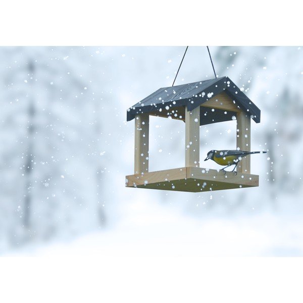 Drvena viseća hranilica za ptice Esschert Design-image-3