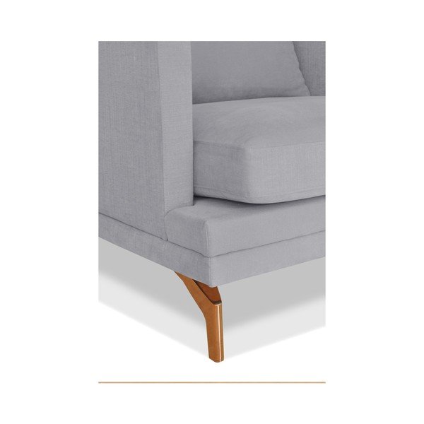 Windsor &amp; Co. sivi kauč na razvlačenje Sofe Jupiter-image-3